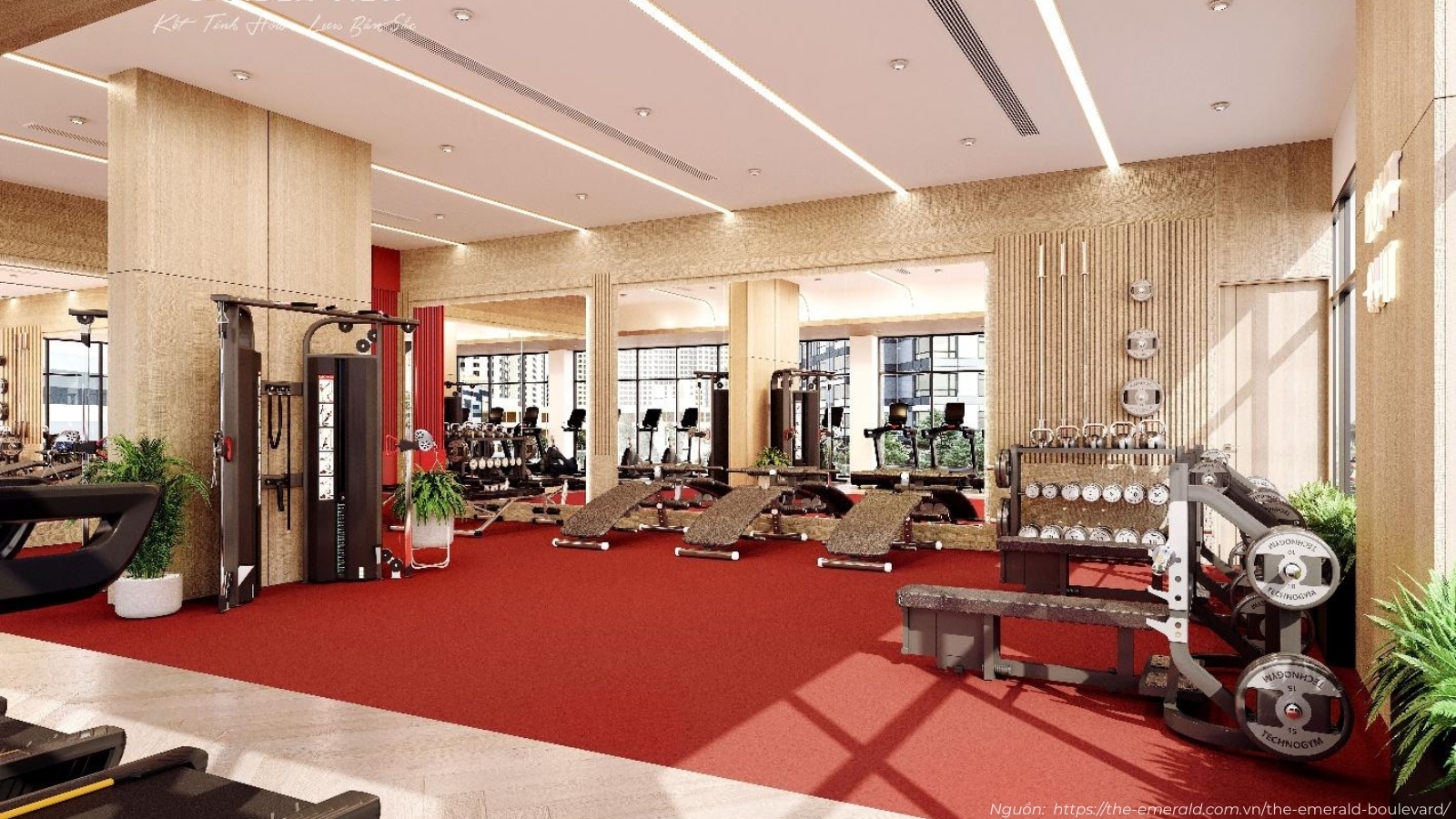 Phòng Gym hiện đại, trang thiết bị đầy đủ tại tiện ích nội khu The Emerald Boulevard